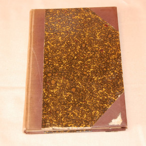 John William Nylander Suuri lähetystö